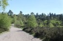 Forêt de la Roche Turpin